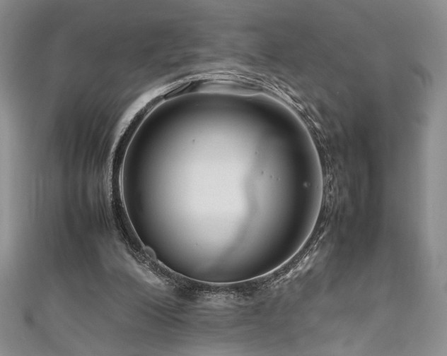 X0000111190200200907011419