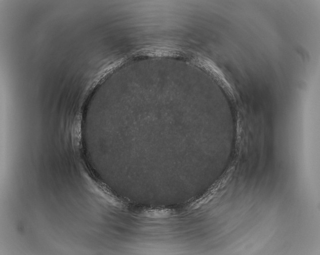 X0000111190202200907011419