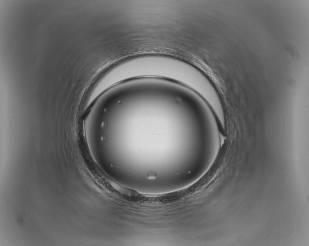 X0000111190203200907011418