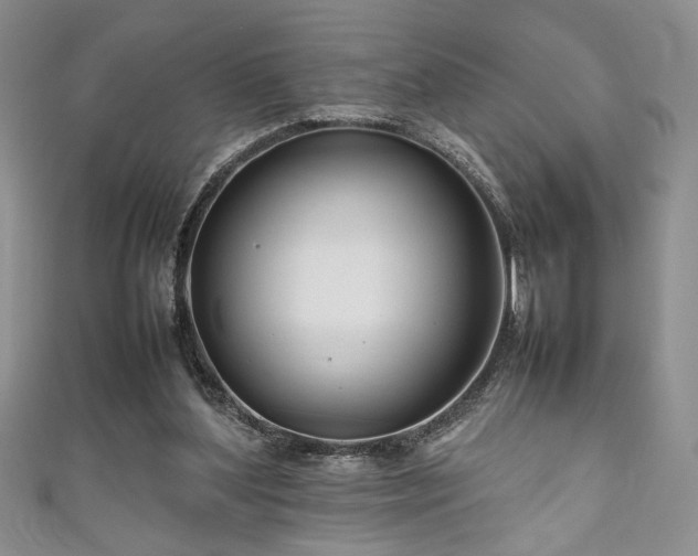 X0000111190204200907011418