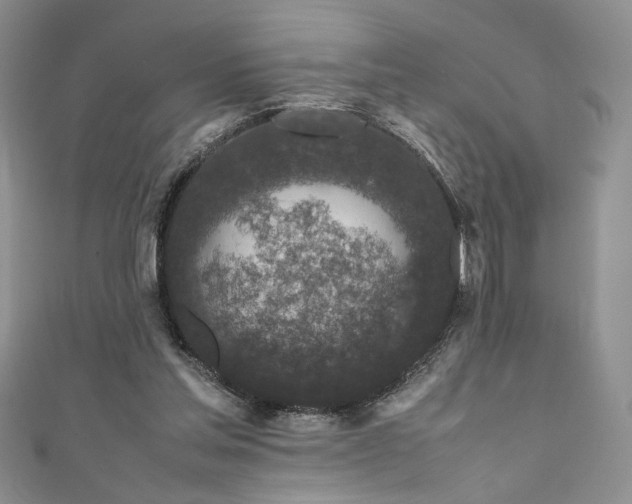 X0000111190205200907011418