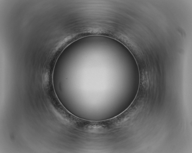 X0000111190208200907011418