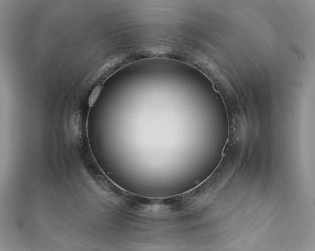 X0000111190212200907011418