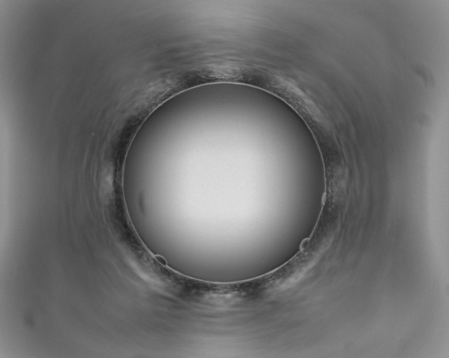 X0000111190213200907011418