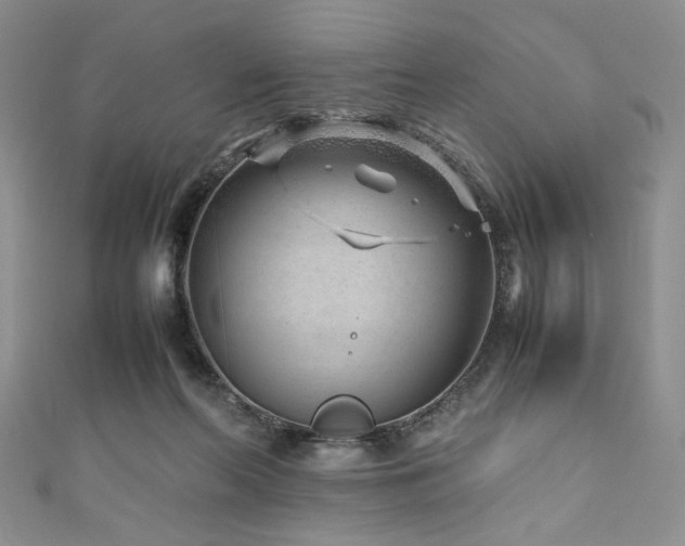 X0000111190214200907011418