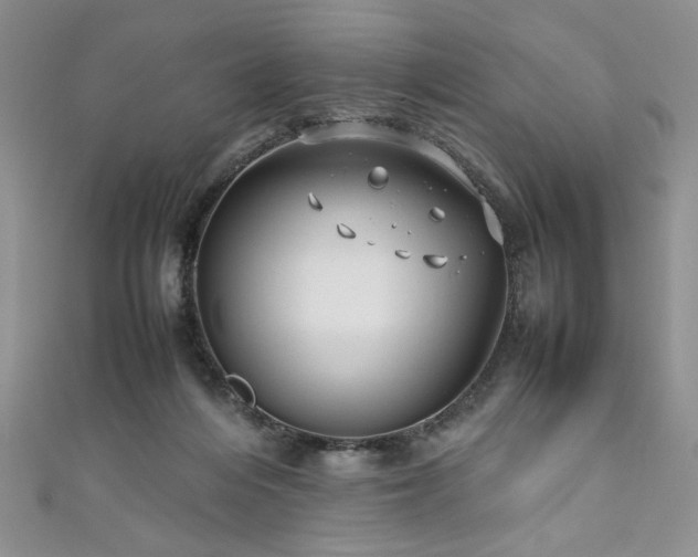 X0000111190216200907011418