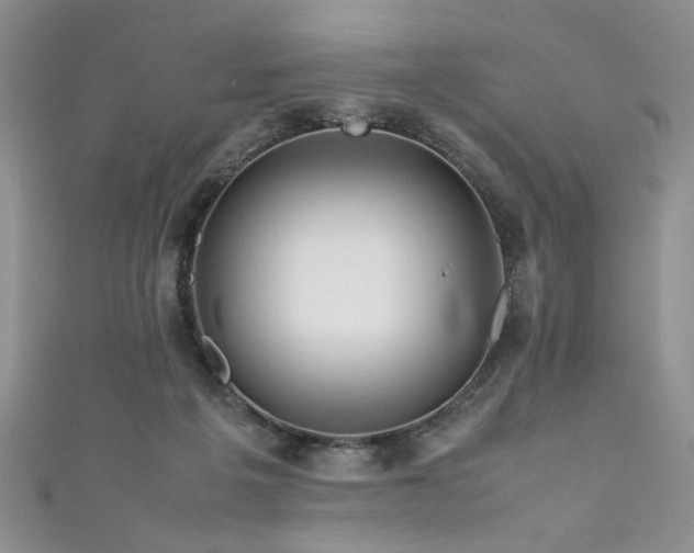 X0000111190217200907011418