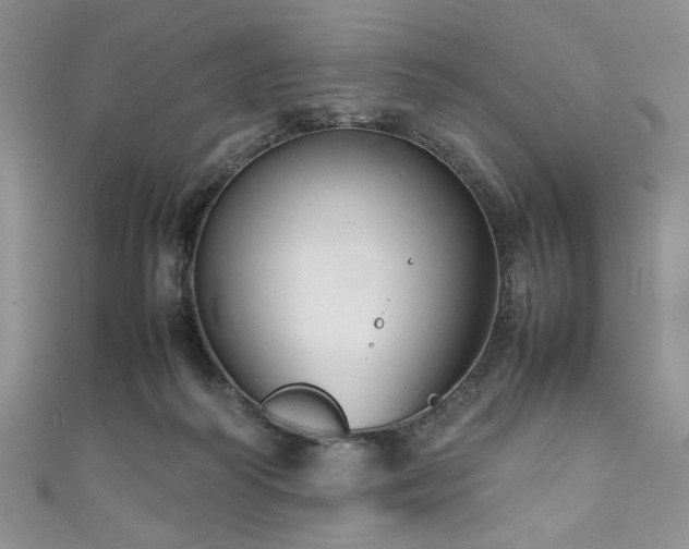 X0000111190218200907011418