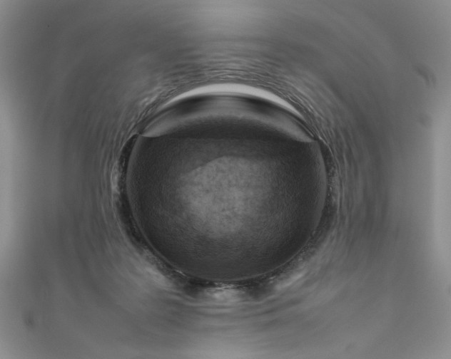 X0000111190219200907011418