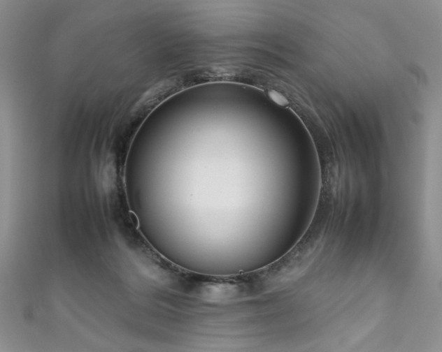 X0000111190220200907011418