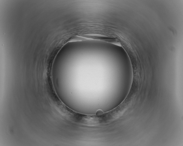 X0000111190221200907011418