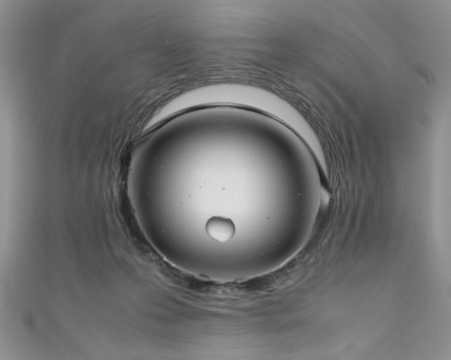 X0000111190223200907011418