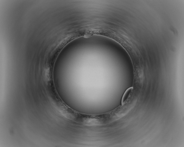 X0000111190224200907011418