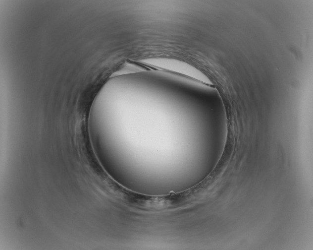 X0000111190225200907011418