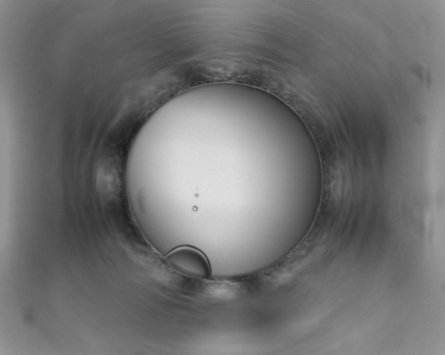 X0000111190226200907011418