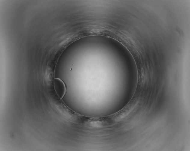 X0000111190228200907011418