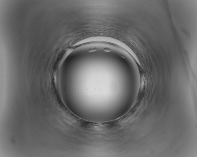 X0000111190229200907011418