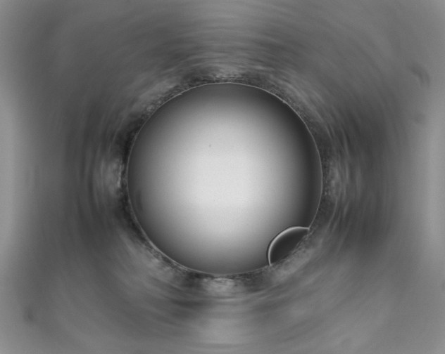 X0000111190230200907011418