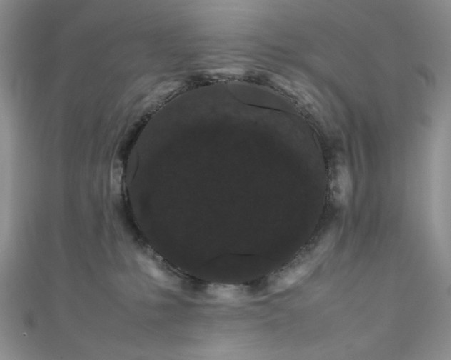 X0000111190231200907011418