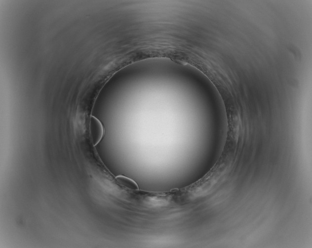 X0000111190232200907011418