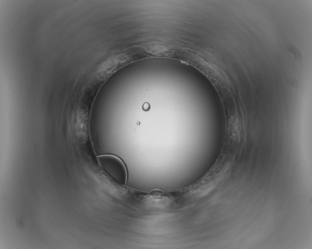 X0000111190234200907011418