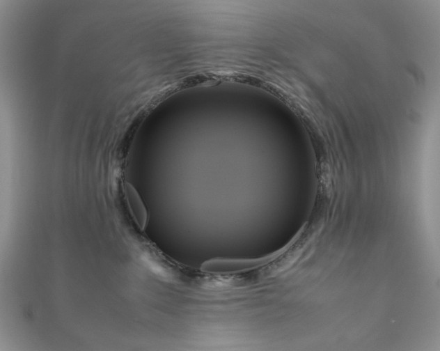 X0000111190235200907011418