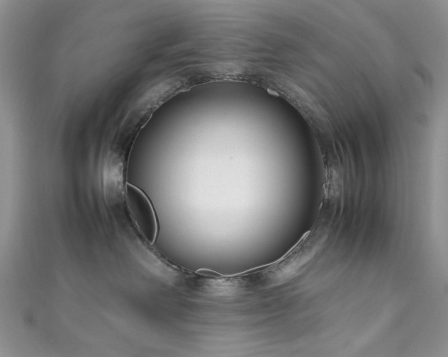 X0000111190238200907011418