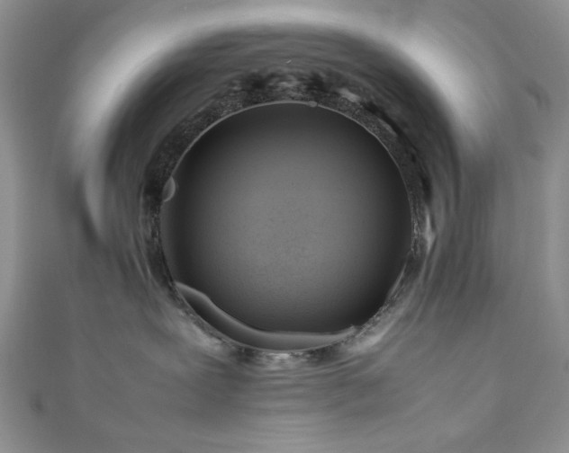 X0000111190239200907011418