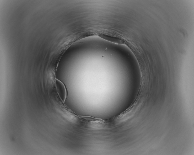 X0000111190240200907011418