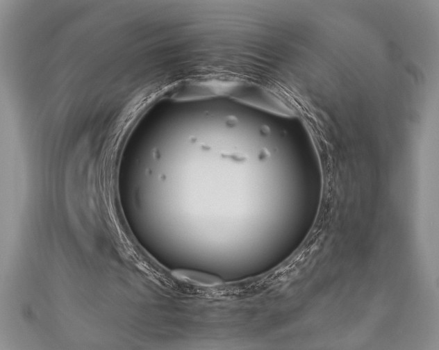 X0000111190241200907011417