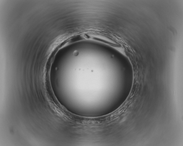 X0000111190242200907011417