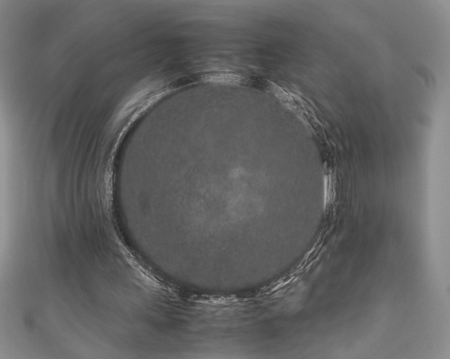 X0000111190243200907011417