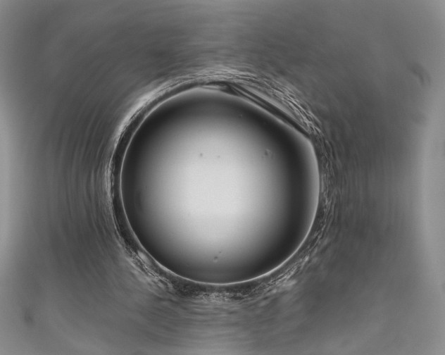 X0000111190244200907011417