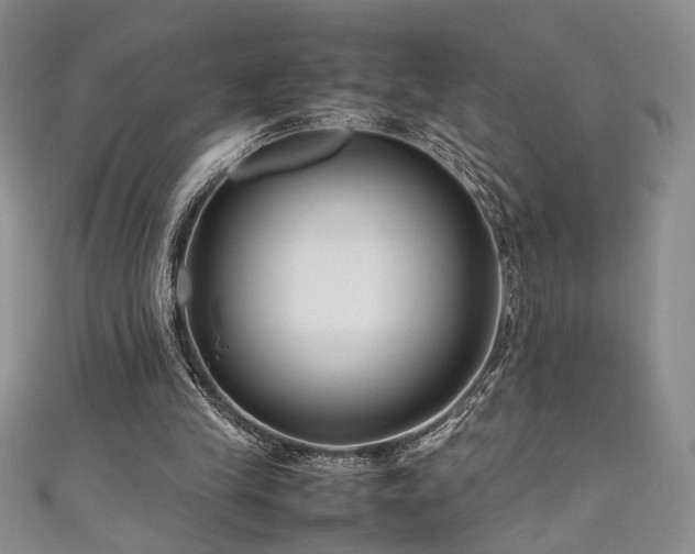 X0000111190245200907011417