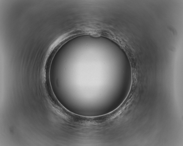 X0000111190246200907011417