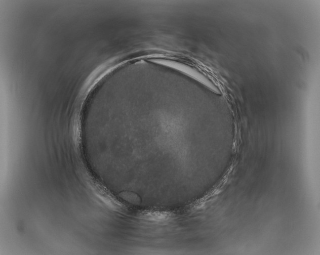 X0000111190247200907011417