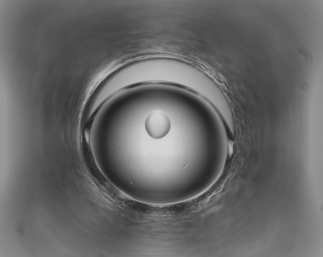 X0000111190248200907011417