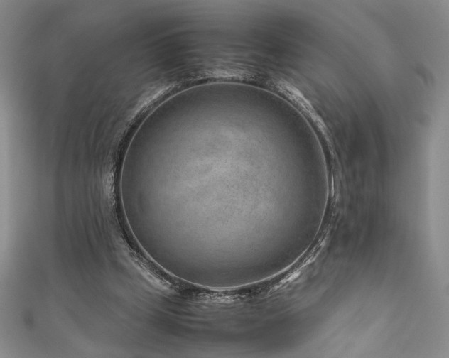 X0000111190249200907011417