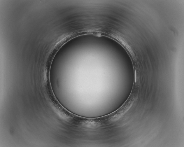 X0000111190253200907011418