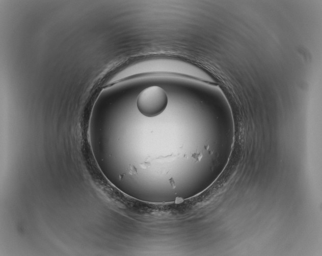 X0000111190256200907011418