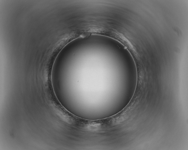 X0000111190257200907011418