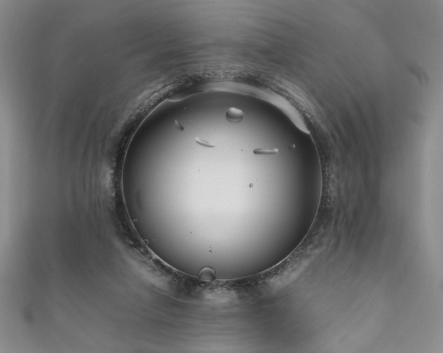 X0000111190258200907011418