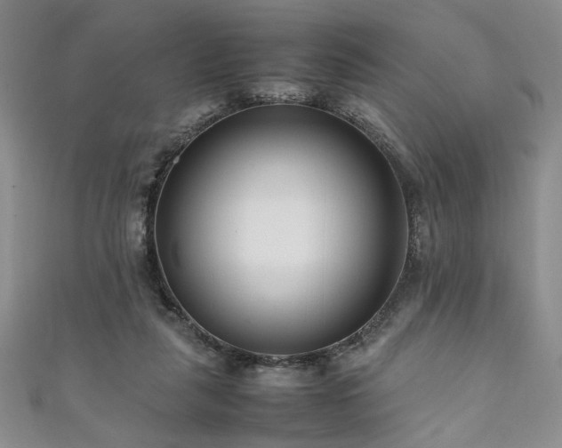 X0000111190259200907011418