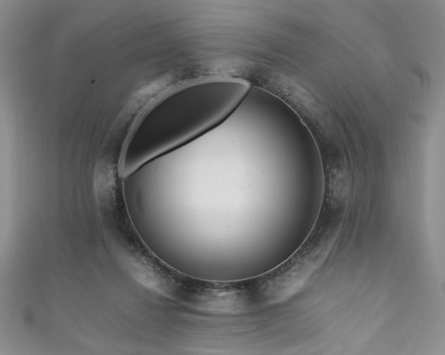 X0000111190260200907011418