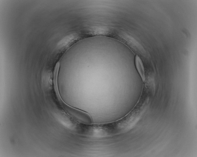 X0000111190264200907011418