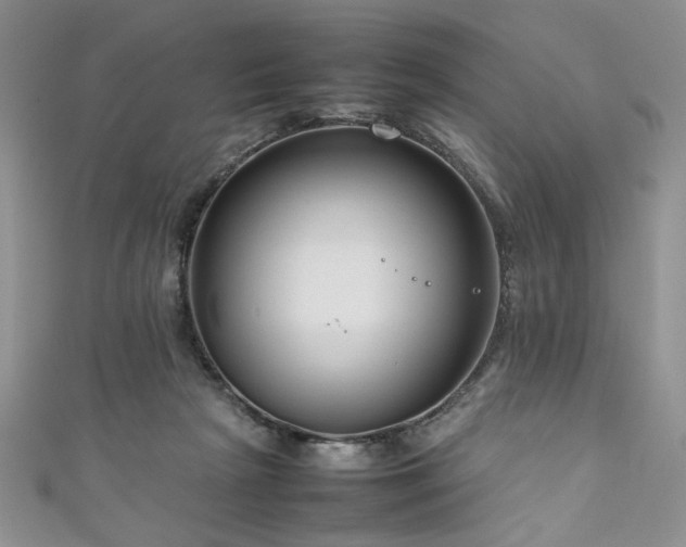 X0000111190265200907011418