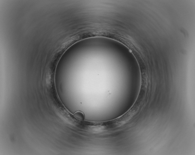 X0000111190266200907011418