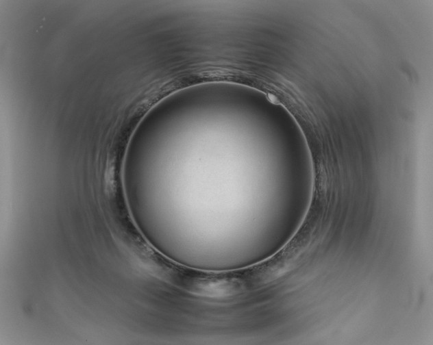 X0000111190267200907011418