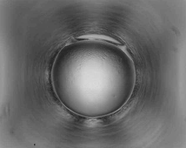 X0000111190269200907011418