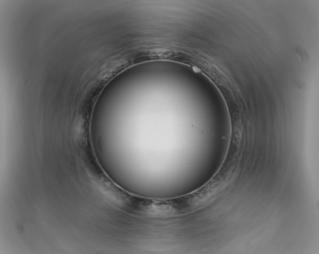 X0000111190270200907011418